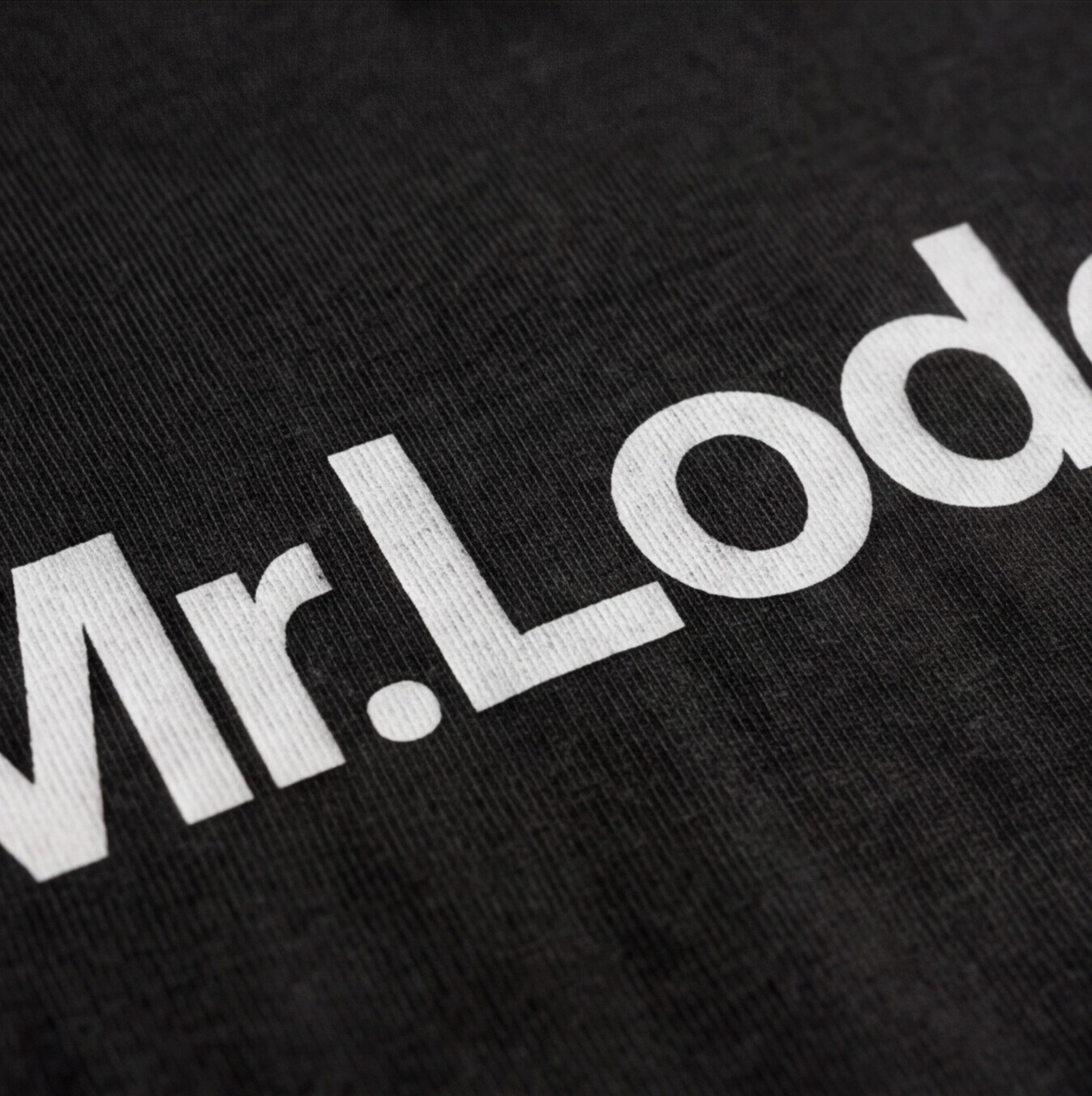 Mr.Lodewijk